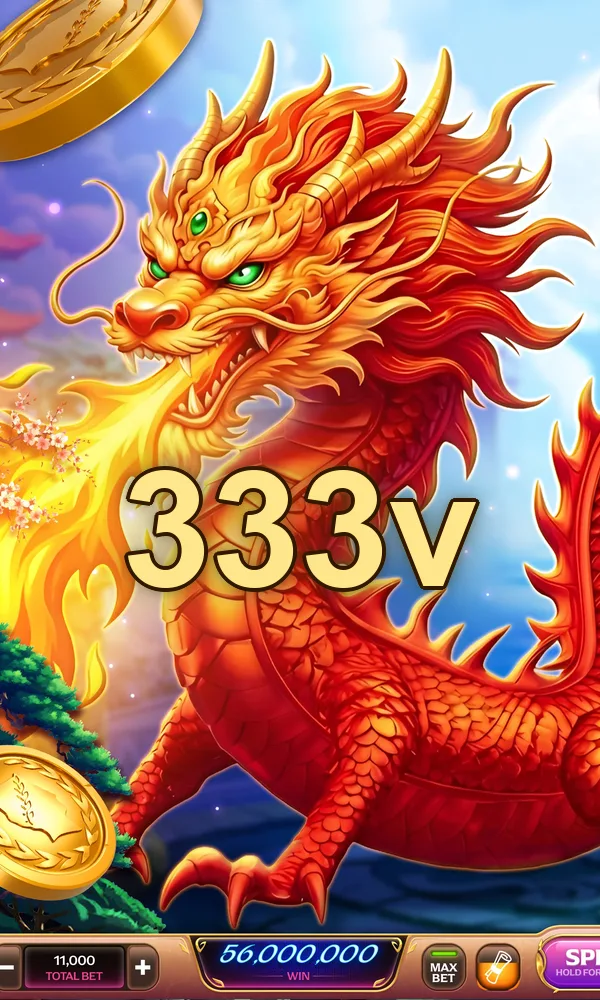 333v Akses